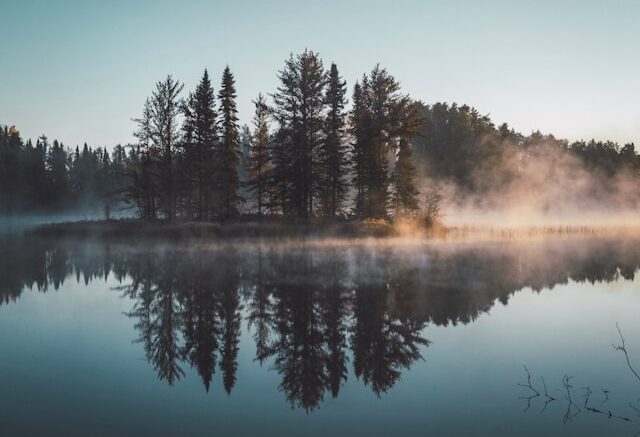 Image of pine trees being reflected in the water of a lake.