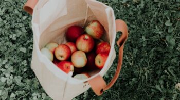 Image of apples inside of a reusable canvas bag.