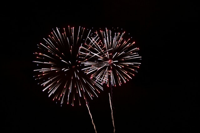 image of fireworks in the night sky