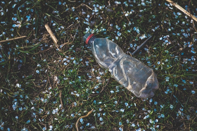 plastic bottle in green grass